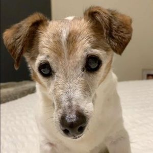 Meet your Posher, Alana